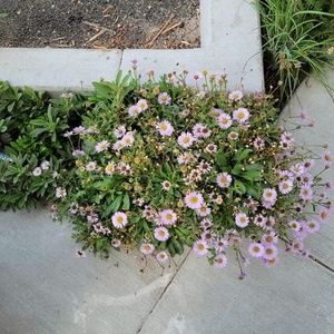 Meet your Posher, Joann